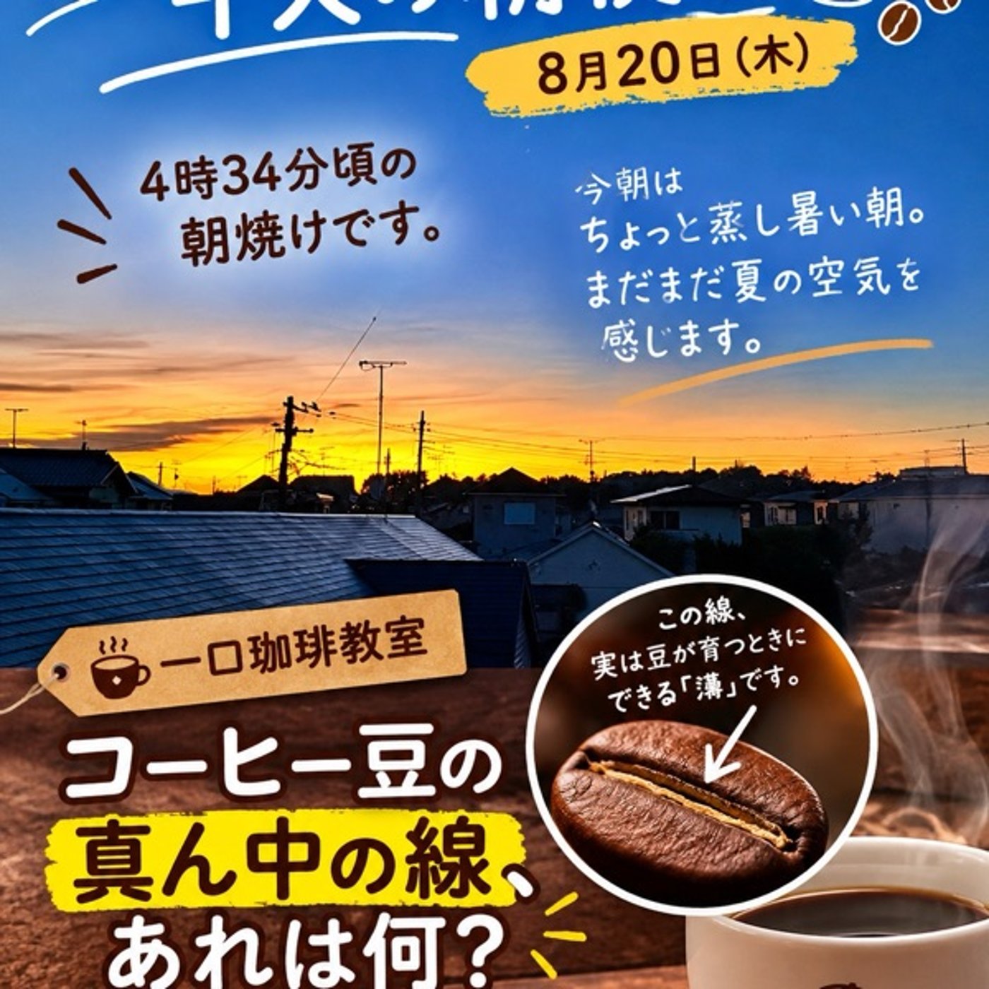 ☕コーヒー豆の真ん中の線、あれは何？｜3分で聴ける珈琲教室 episode artwork