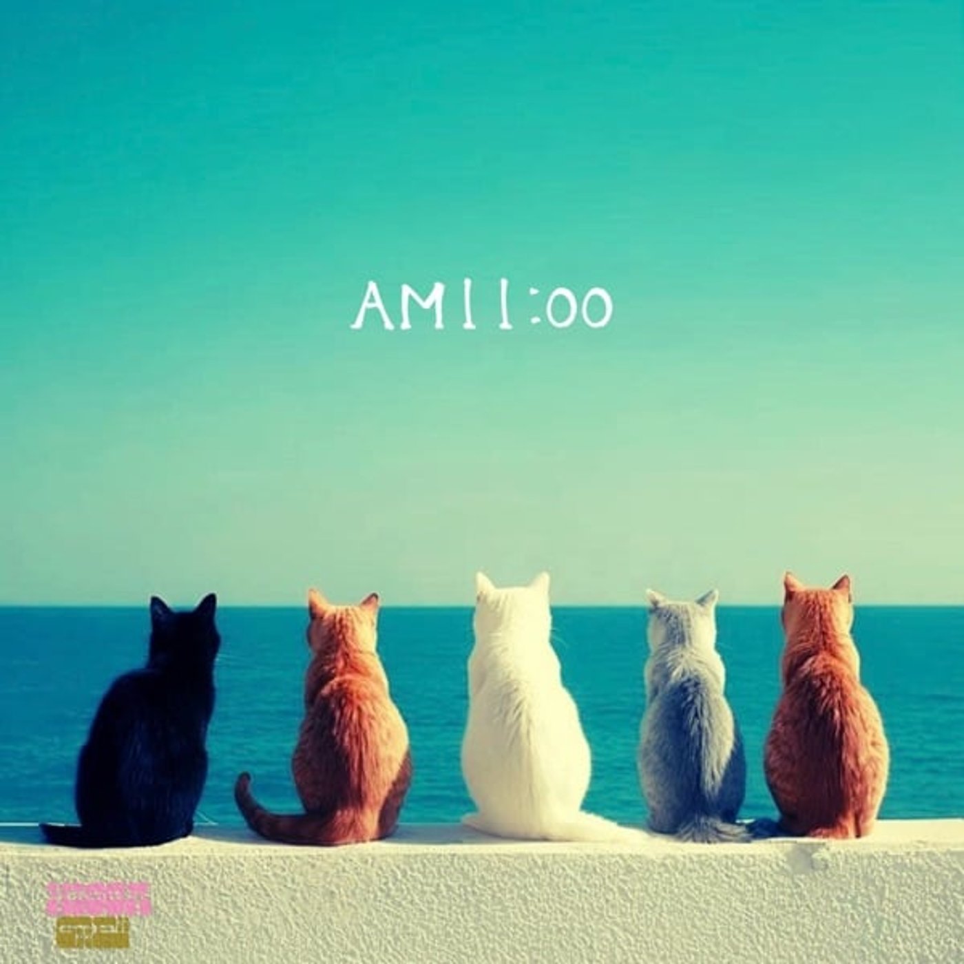 AM11:00  Hi-Five （ママン、ゆかこっこ、ぴんきー、お兄ちゃん） episode artwork