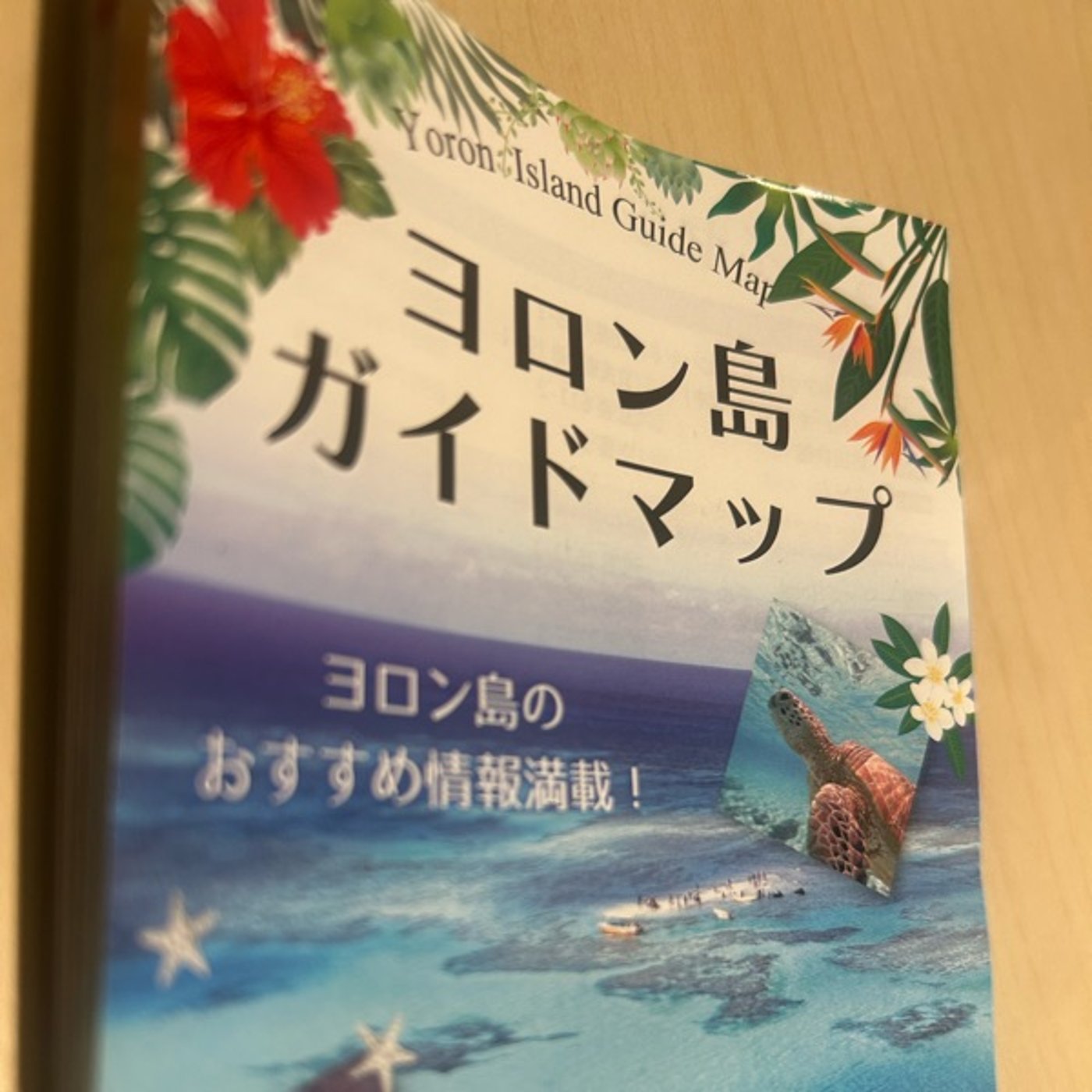 日本テレビ「沸騰ワード10」でヨロン島が紹介されました。 episode artwork