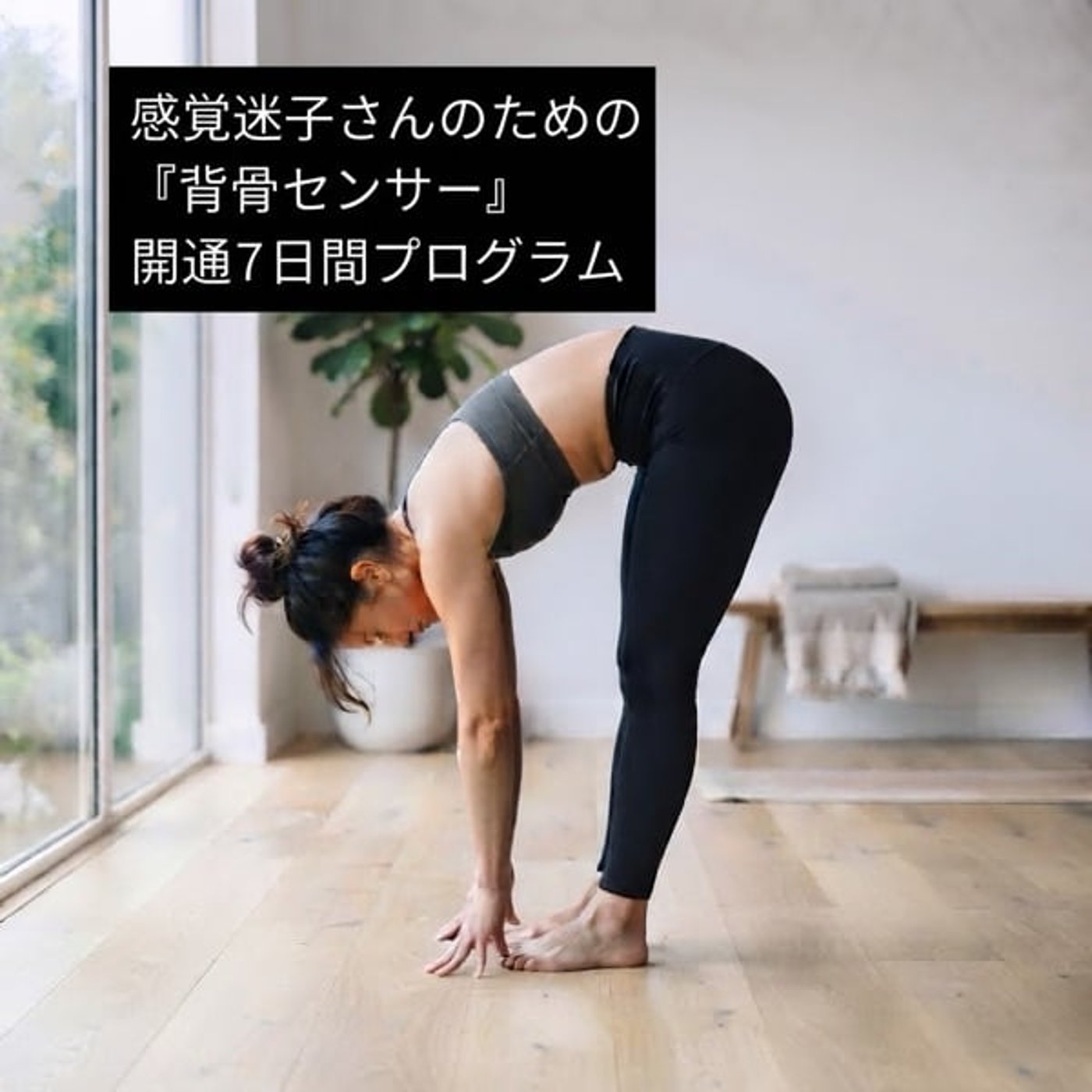 感覚迷子さんのための【背骨センサー】開通7日間プログラム episode artwork