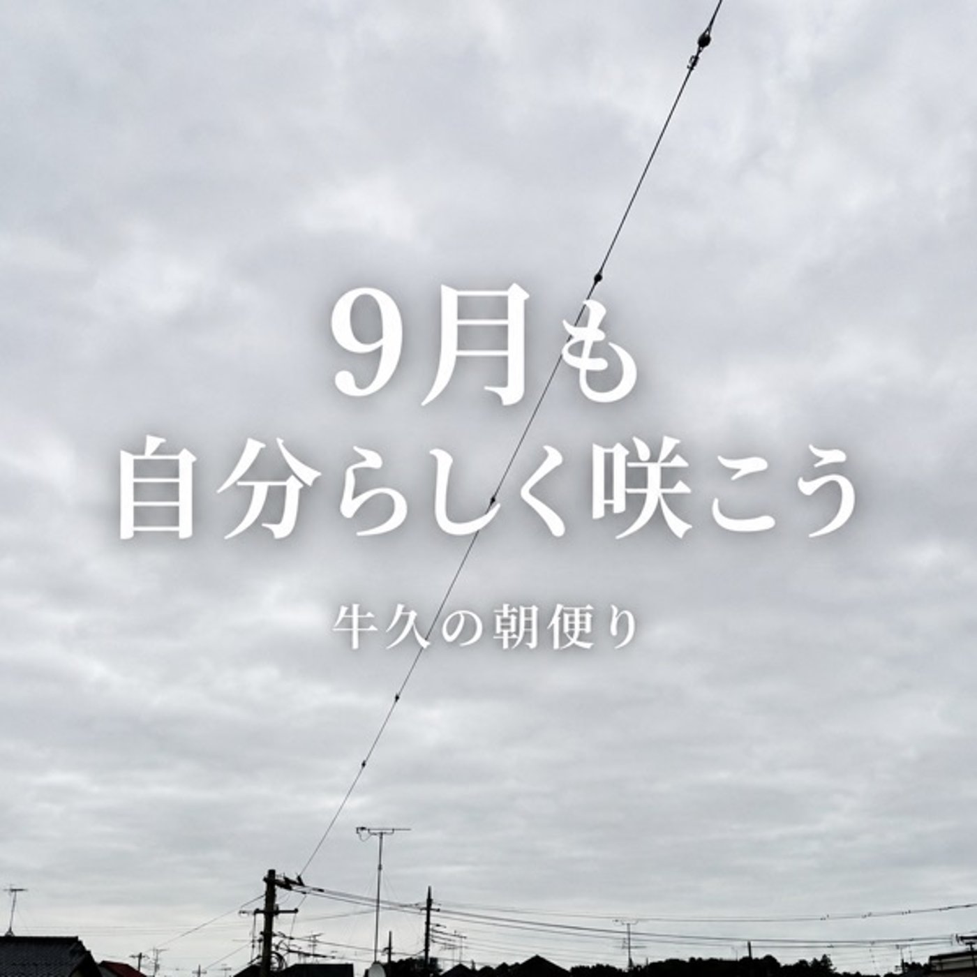 「置かれた場所で、自分らしく咲く｜9月最初の牛久の朝便り」 episode artwork