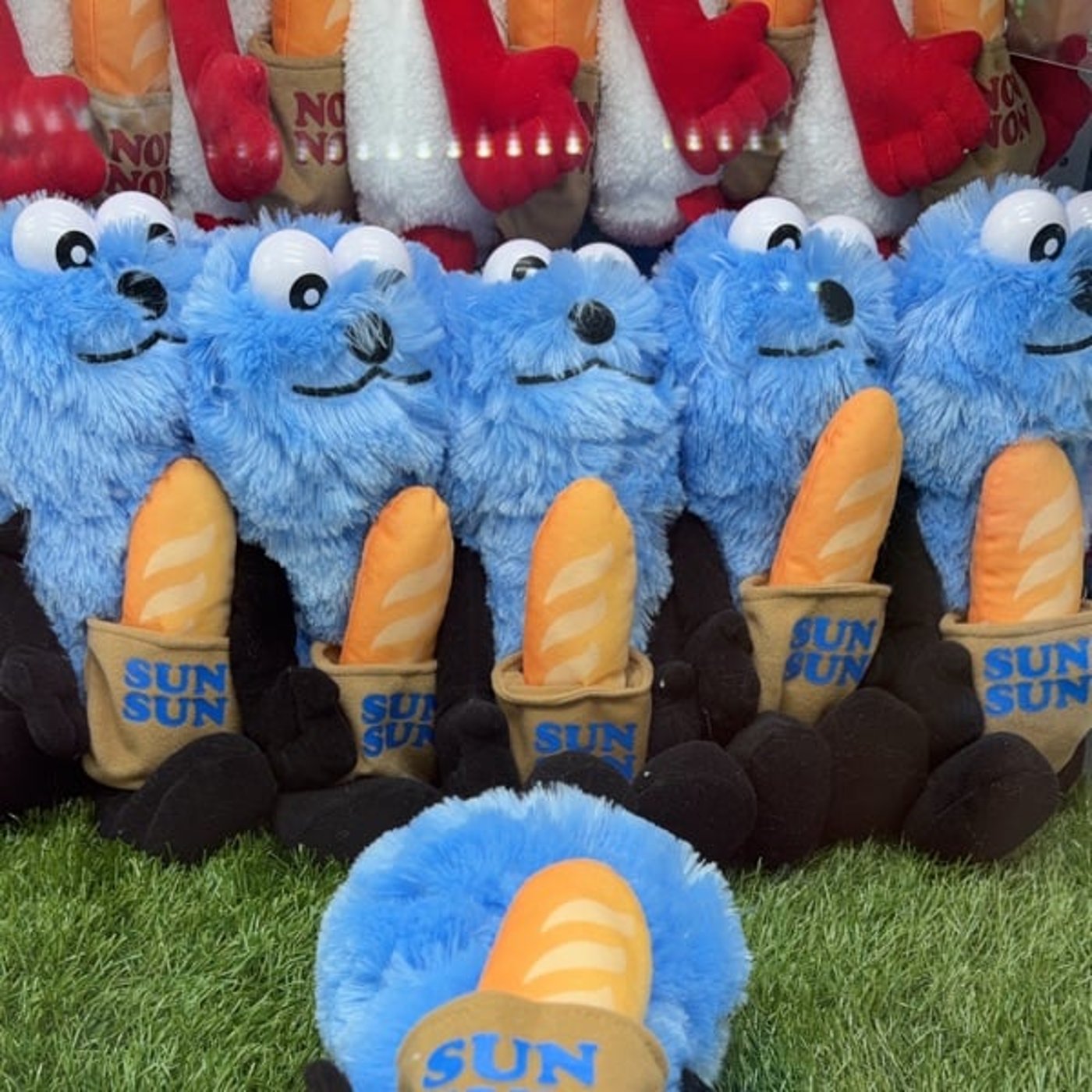 今週末は横浜❣️ウクレレピクニック2026に出演します episode artwork