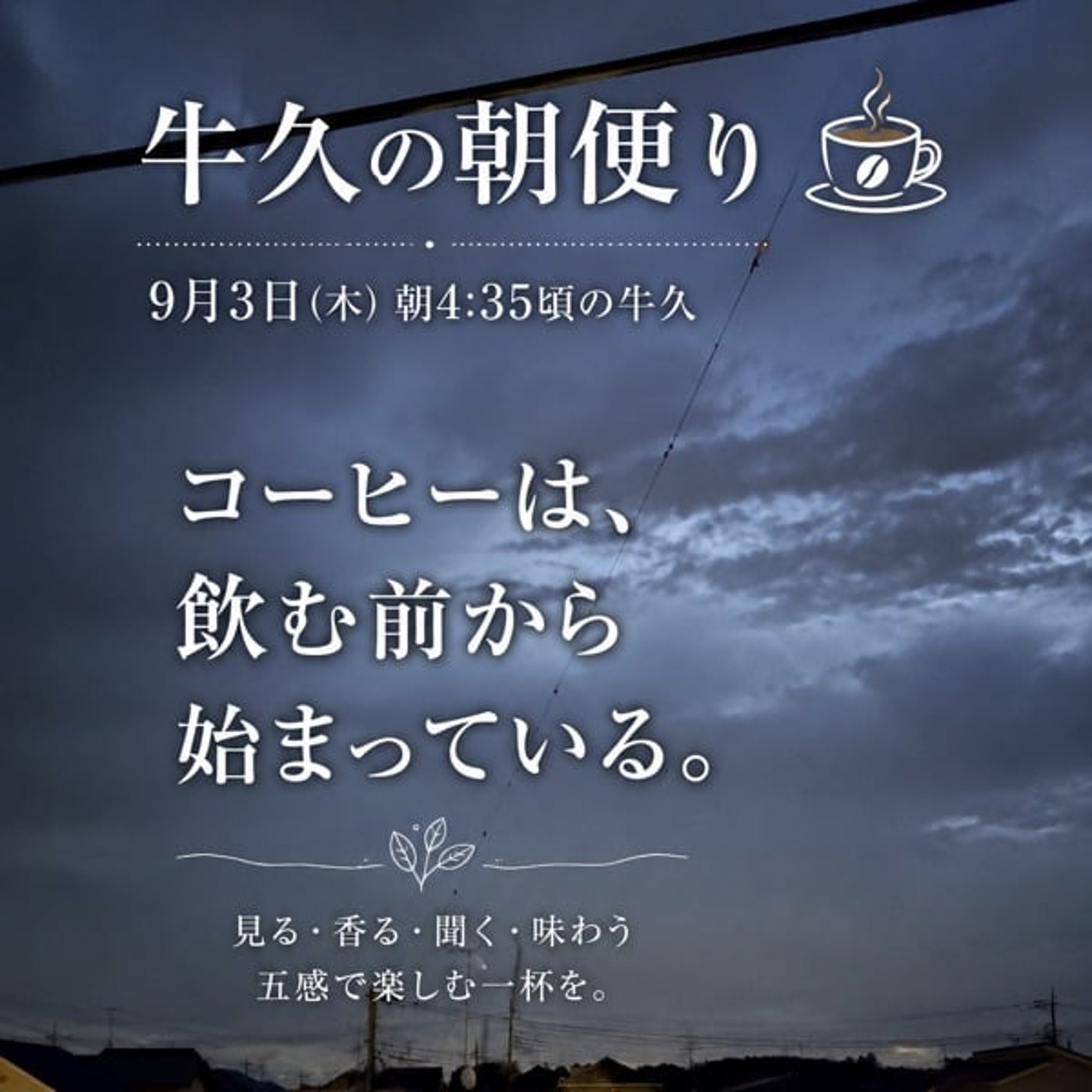 コーヒーは、飲む前から始まっている｜朝の3分珈琲教室 episode artwork