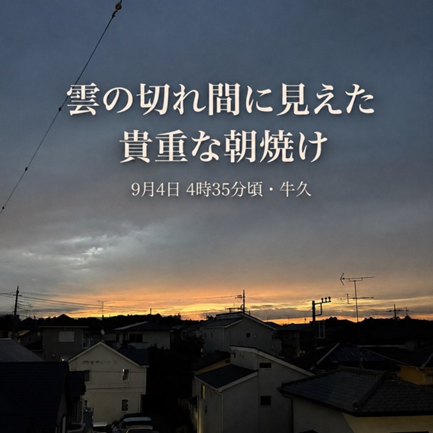 曇り空の向こうに朝の光｜カップを温める小さなひと手間 episode artwork