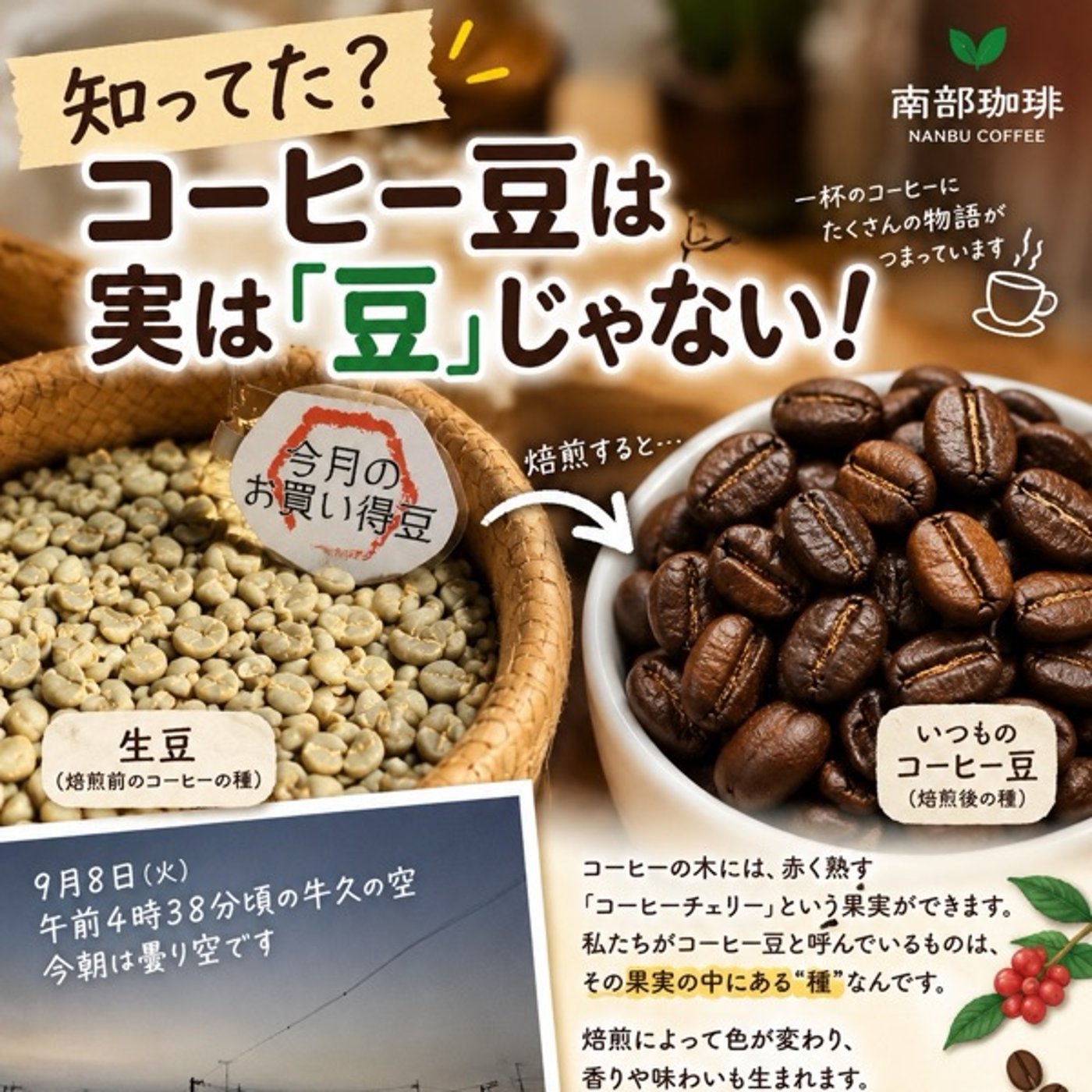 【3分で聴ける珈琲教室】コーヒー豆って、実は「豆」じゃないんです☕️ episode artwork