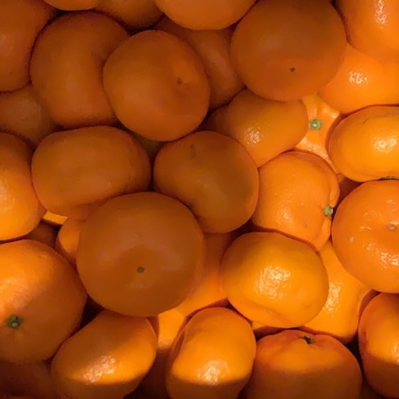 かなり人生ピンチな話。 かなり人生ピンチな話。