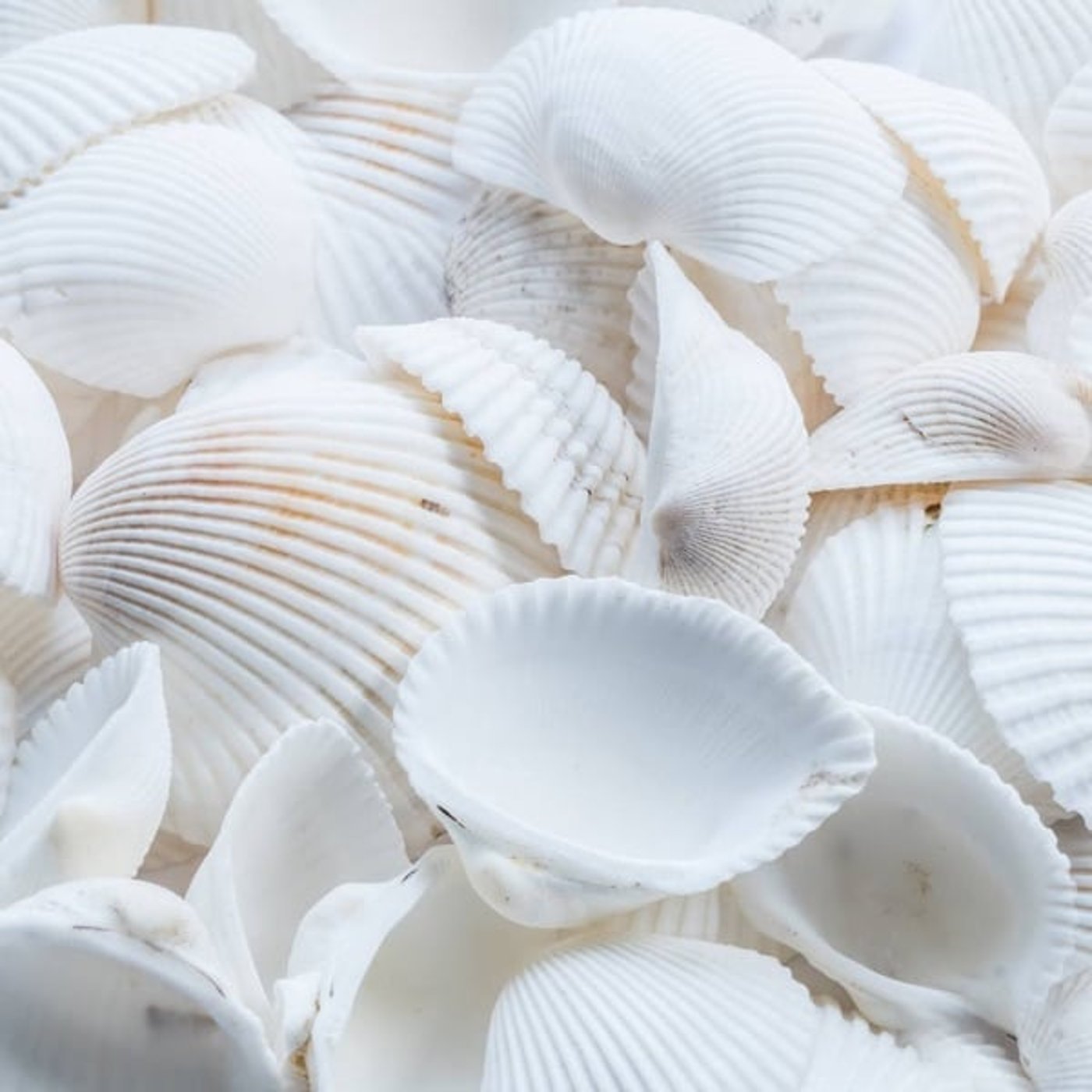 #22.クレカ使うのやめてみた