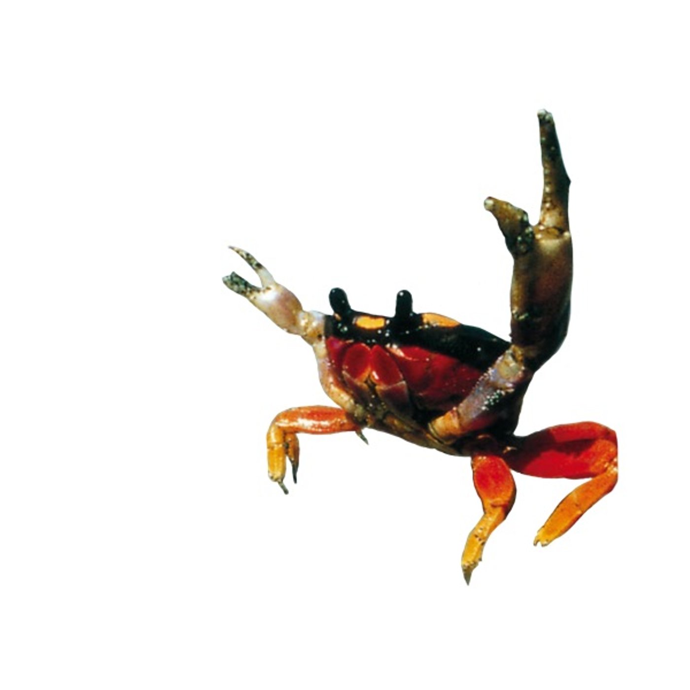 #188.「私は誰にも奪われない」と思えた朝。法人を作ることがくれた安心感の話。