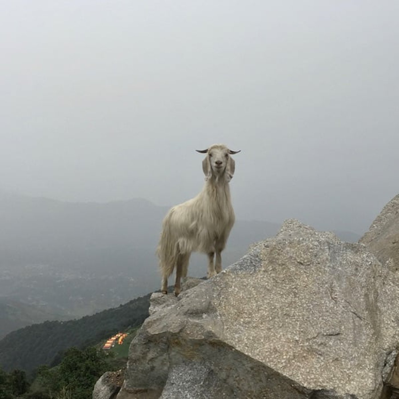 知らないうちにフリーズしてる私たち　小パニック反応の解除テクニック　お伝えします