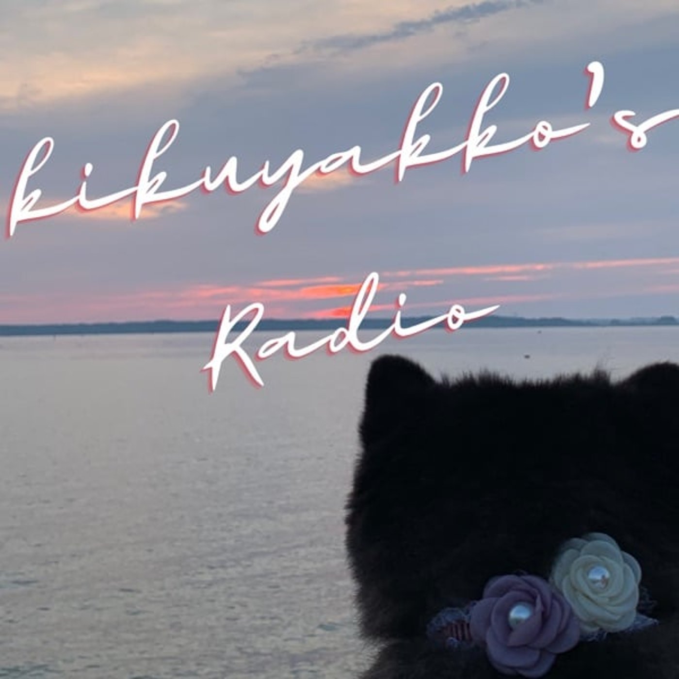 #22 半年ぶりに…皆さまお変わりありませんか? #22 半年ぶりに…皆さまお変わりありませんか?