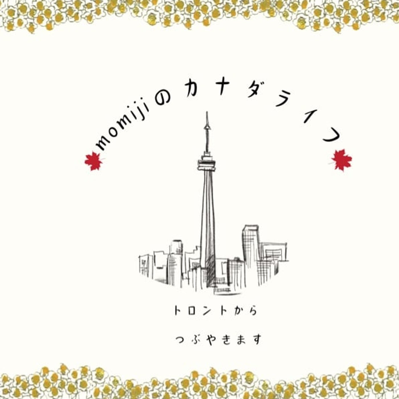 トロントの公共交通機関ってどんな感じ？🚃🚌　#2