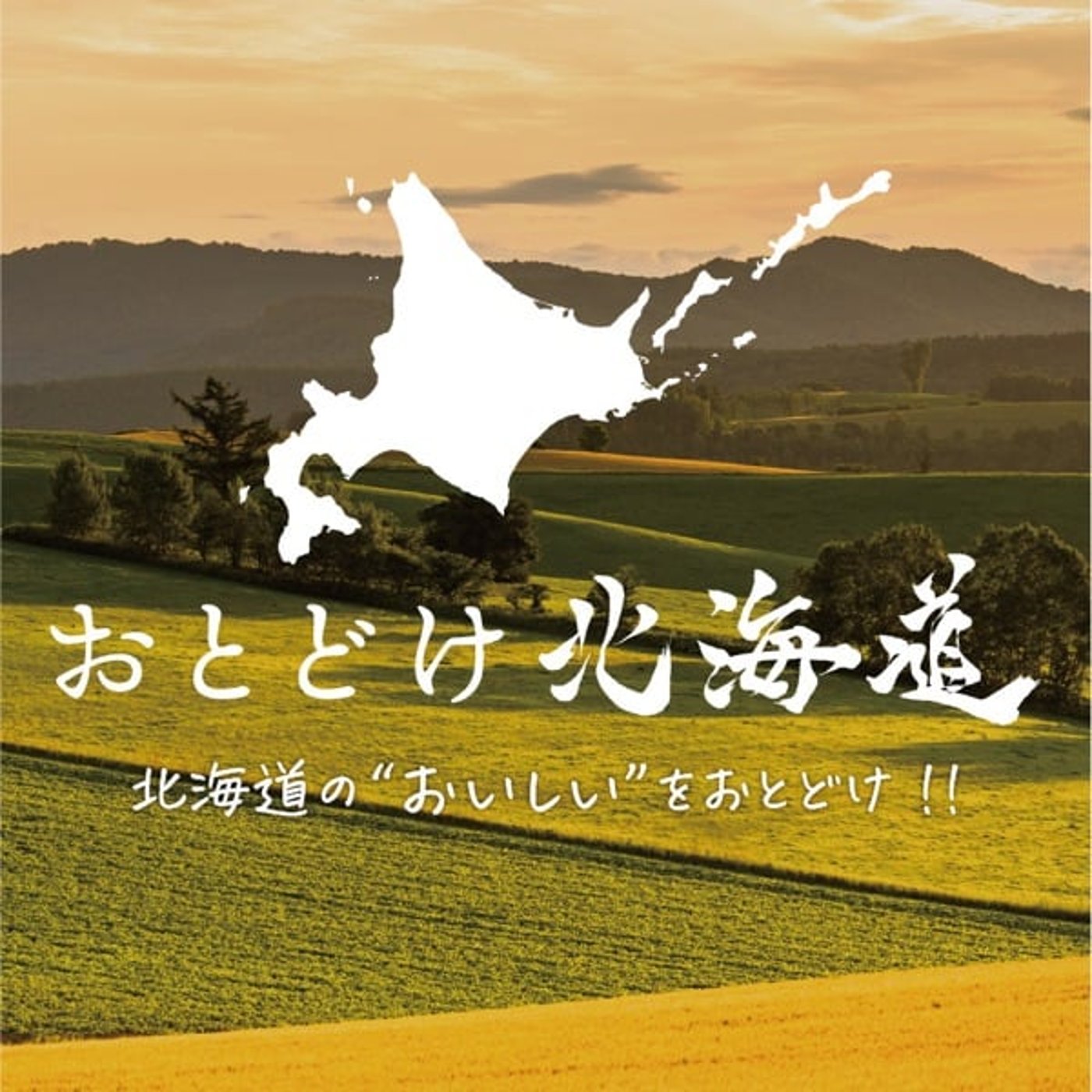#6 由仁町 有機栽培アスパラ・山本農園② #6 由仁町 有機栽培アスパラ・山本農園②