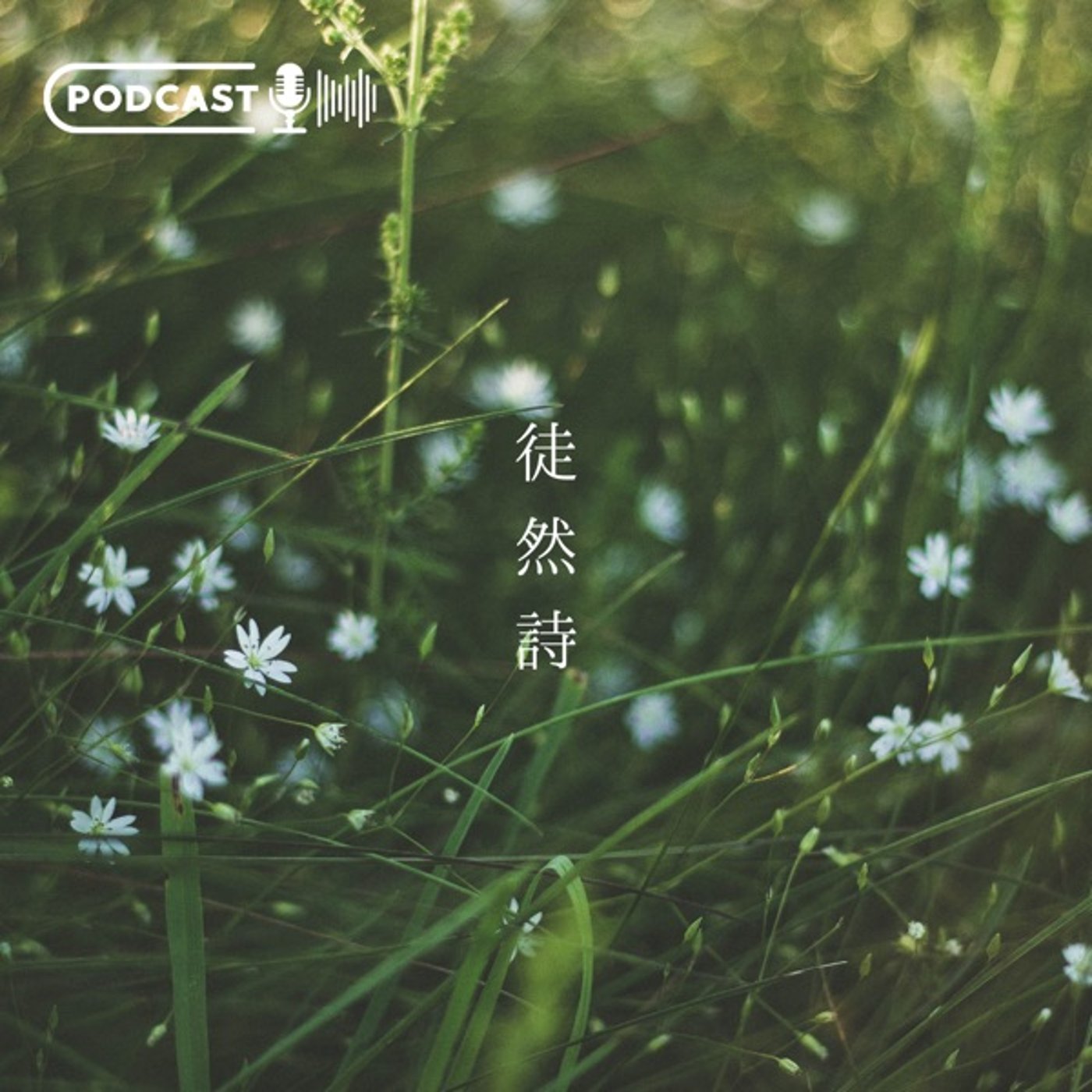 愛は猫の眼 Live 🐈 cover art