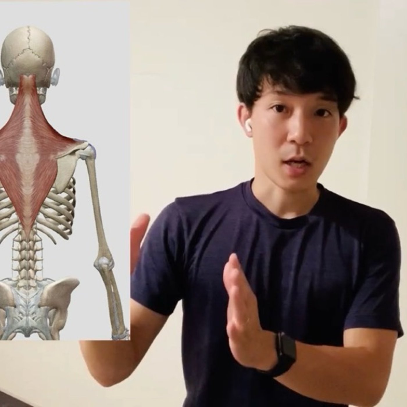 「痩せない理由は“ストレス”だった? ― 自律神経とホルモンが左右するダイエット 「痩せない理由は“ストレス”だった? ― 自律神経とホルモンが左右するダイエット