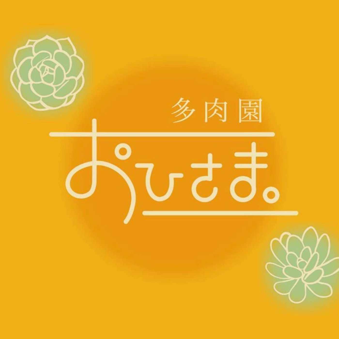 #003 エケベリアとセダムの構造戦略と徒長の特徴