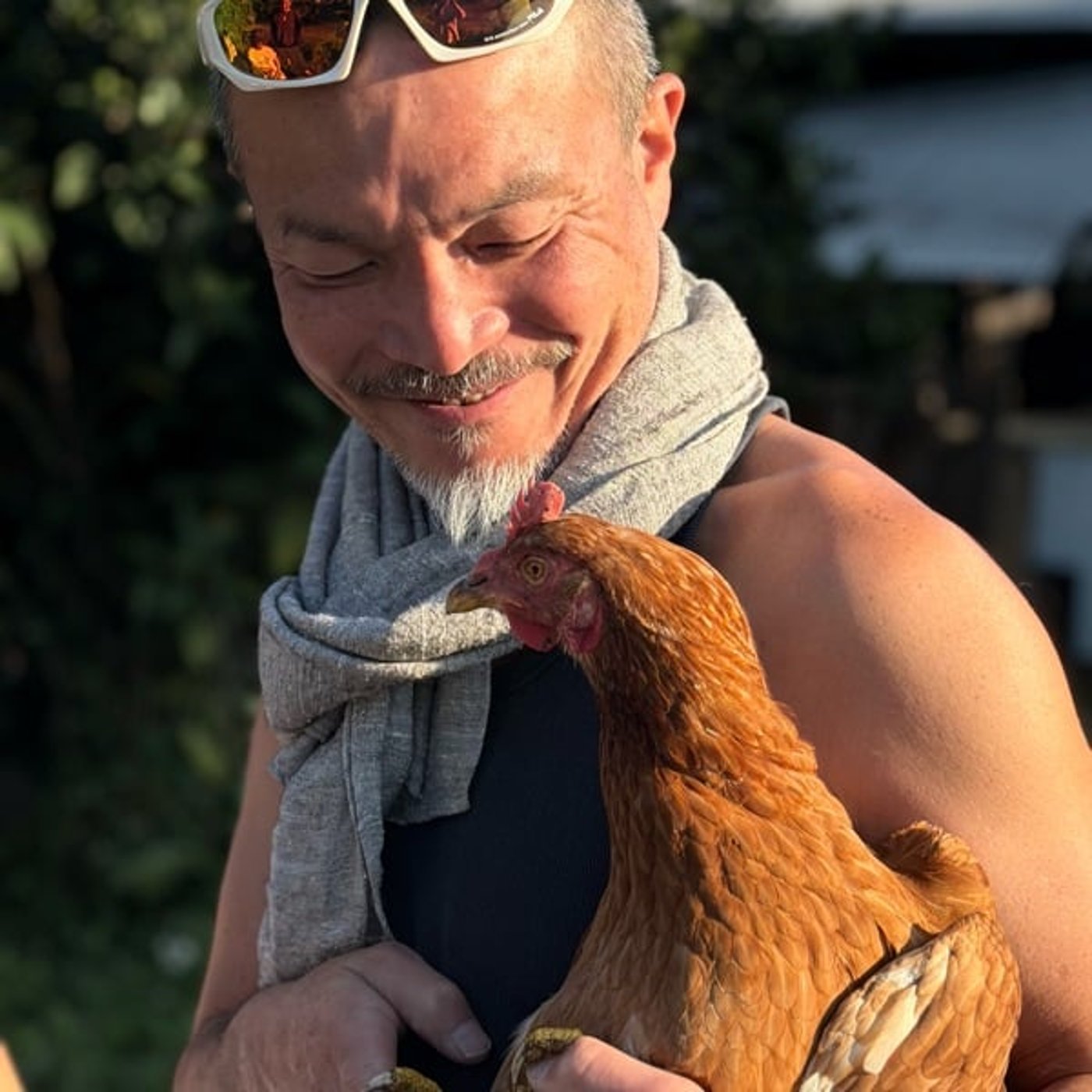 第12回｜屋久島滞在6日目　白谷雲水峡　鯨探し