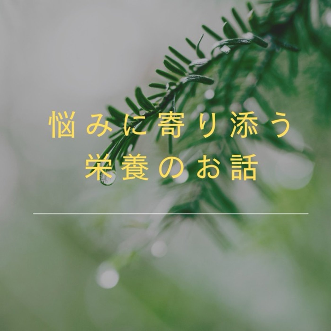 海藻は必要だけど多くなると問題になる episode artwork