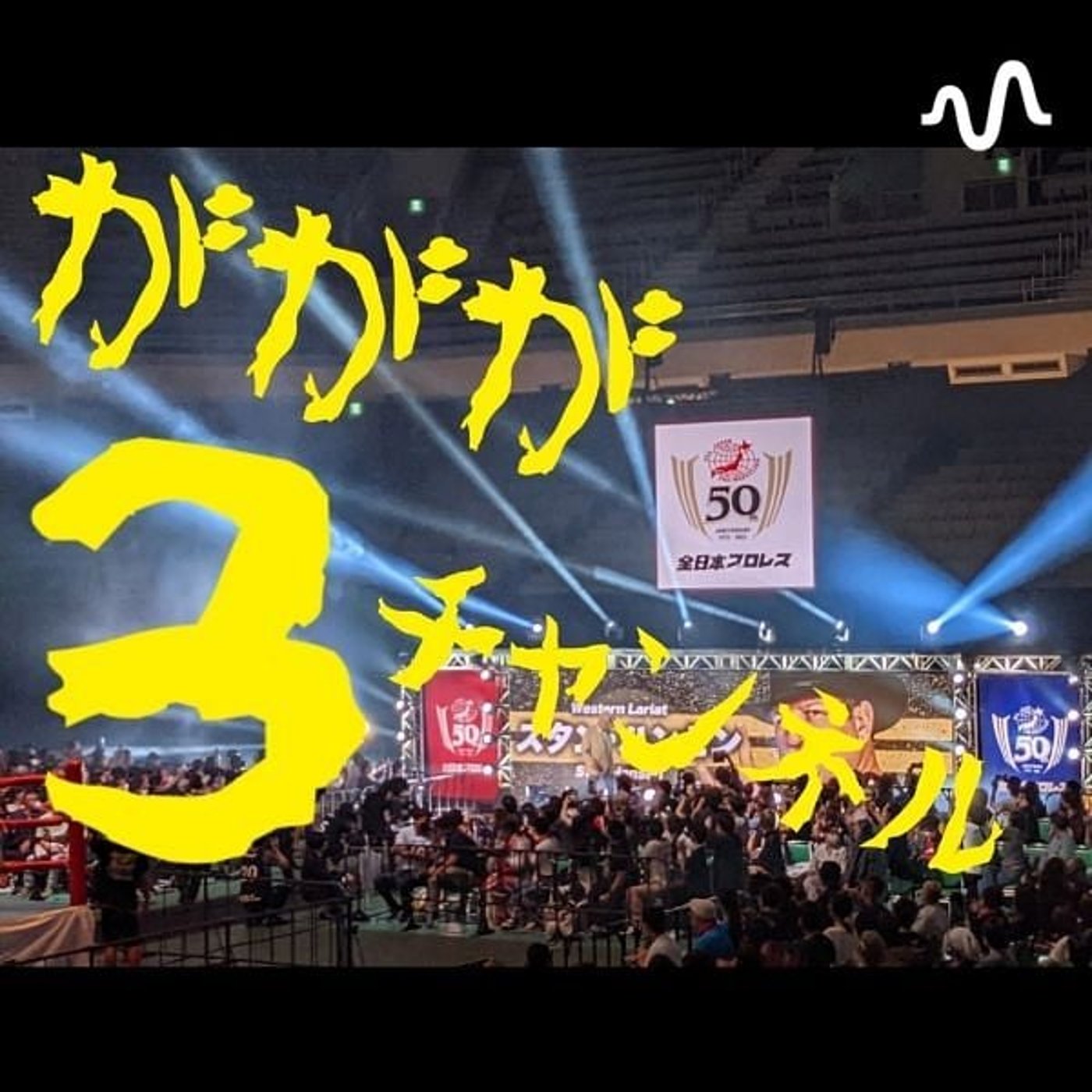 ががが3チャンネル【プロレス】