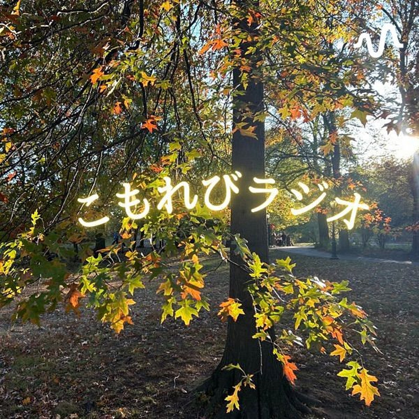 Ruruのオープントークラジオ