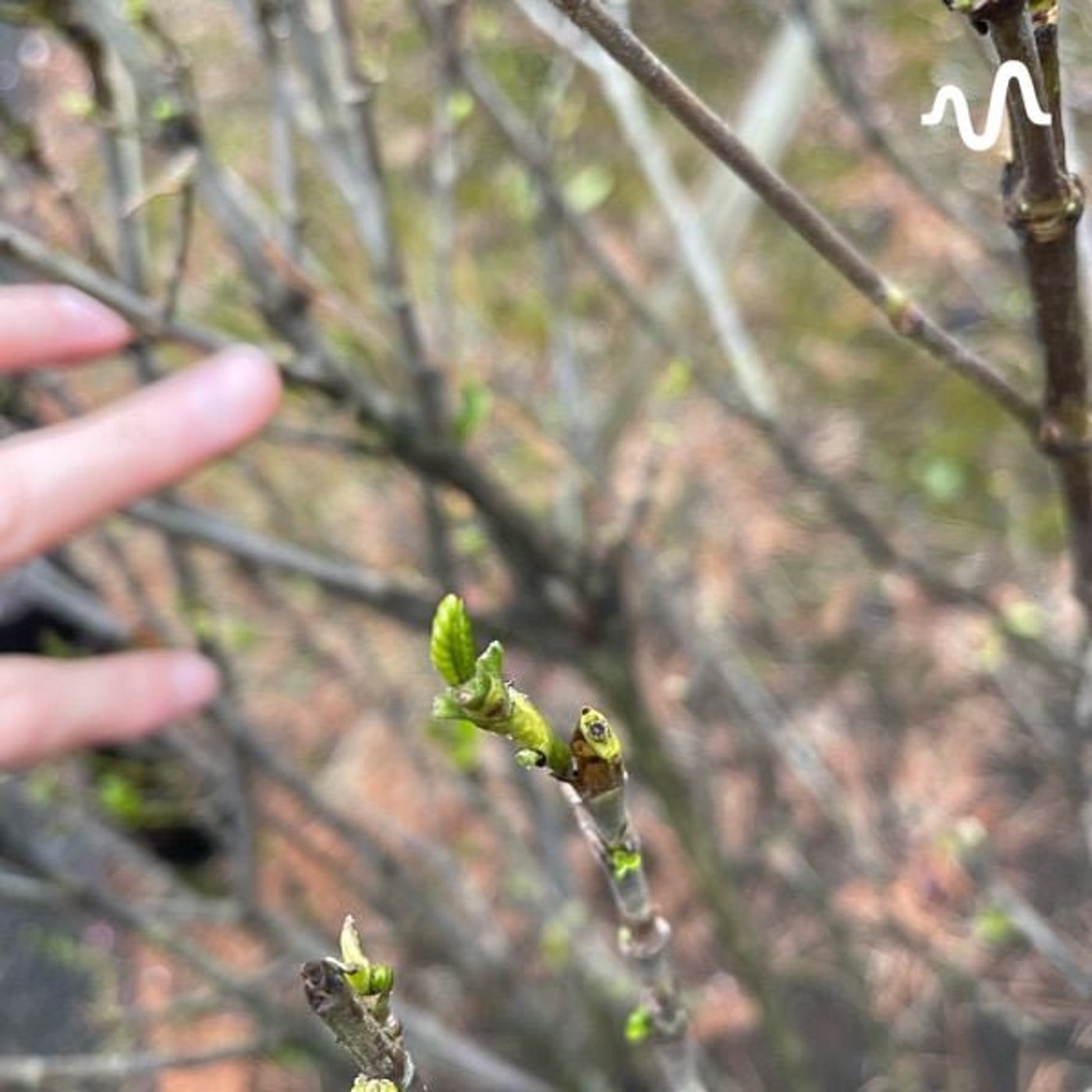 聴く線チャンネルに。 cover art