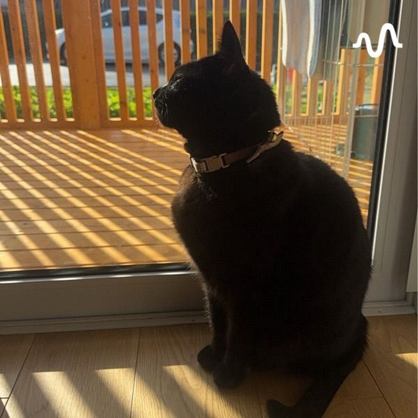 Huku@心温まるアニメ紹介チャンネル cover art