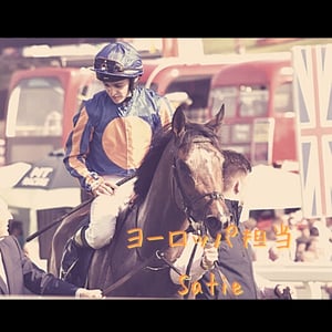 アイルランド ポニー競馬の祭典ディングルダービー観戦 Satie 海外競馬ニュースch Stand Fm アイルランド ポニー競馬の祭典ディングルダービー観戦 Satie 海外競馬ニュースch Stand Fm