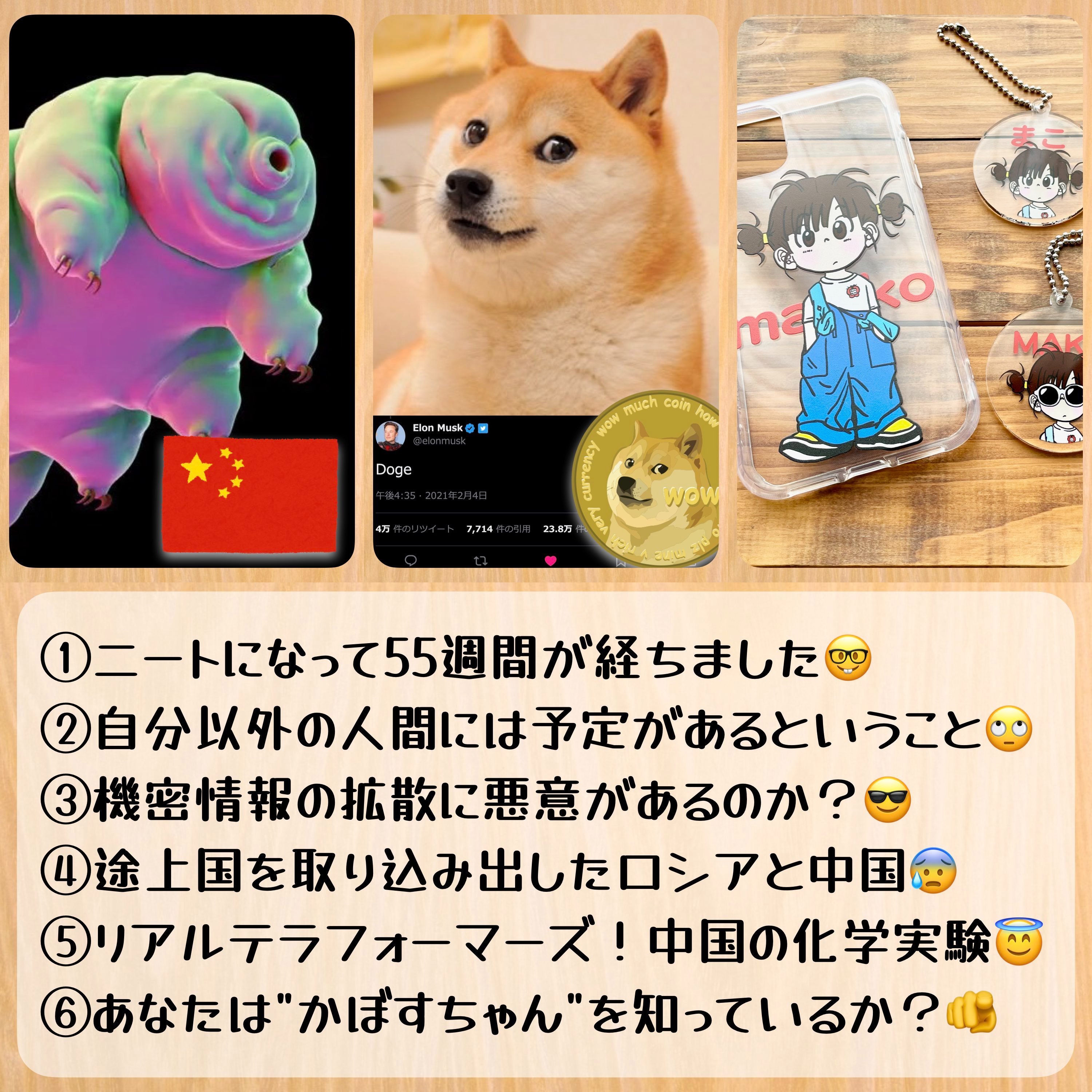 99 あなたはかぼすちゃんを知っているか？【世界一有名な柴犬の奇妙な物語】 - だーラジ | stand.fm