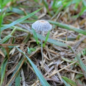 リーダーになりたくなかったリーダーがもっと自由になるための軌跡 Stand Fm リーダーになりたくなかったリーダーがもっと自由になるための軌跡 Stand Fm